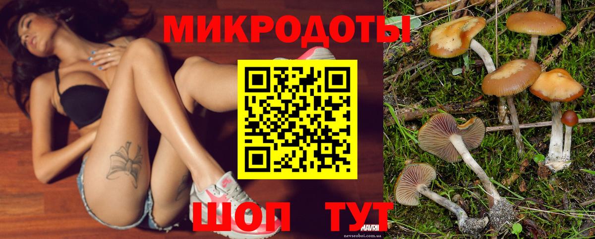 Галлюциногенные грибы GOLDEN TEACHER Жуковский