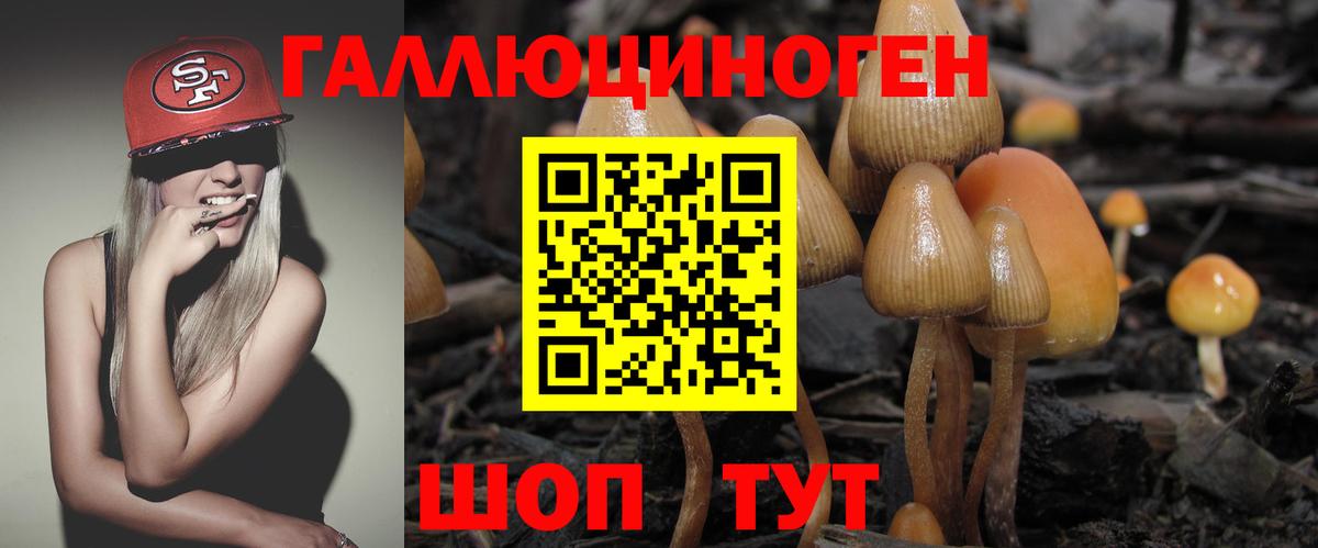 Псилоцибиновые грибы прущие грибы  Вход с VPN  Галлюциногенные грибы мицелий  наркошоп  Жуковский 